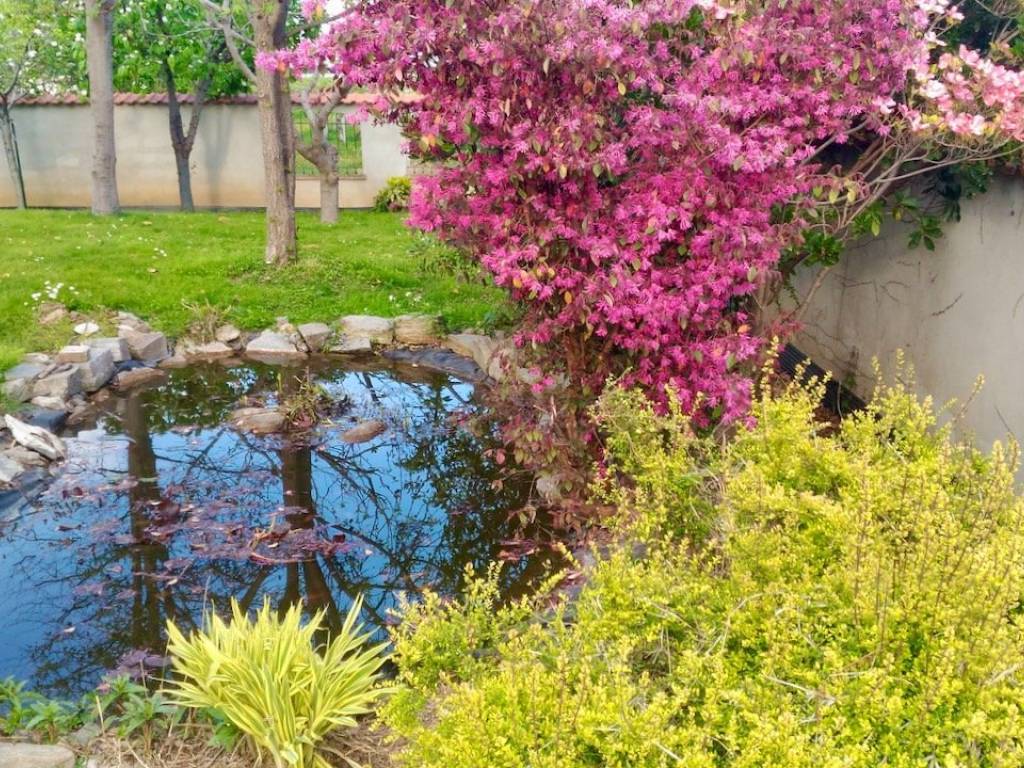 Villa a Centallo in Piazza Luigi Einaudi - Foto 5