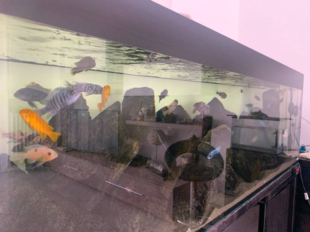 Appartamento a Pesaro in Via Amilcare Ponchielli - Foto 4