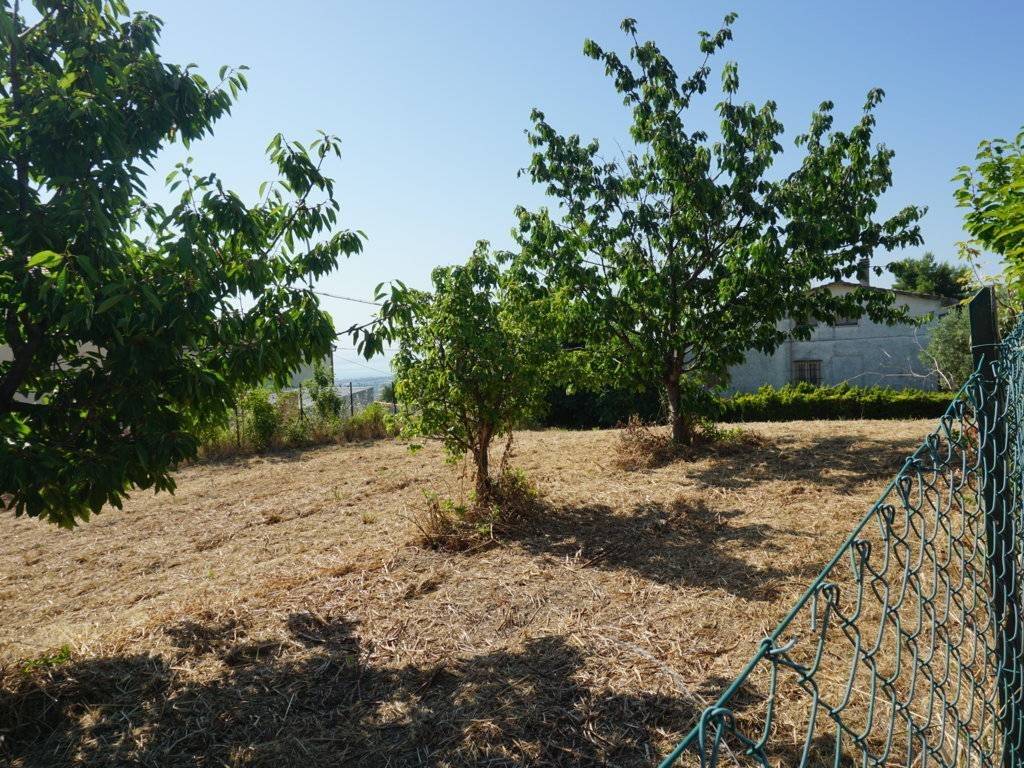 Terreno a Colonnella in Contrada Giardino - Foto 5