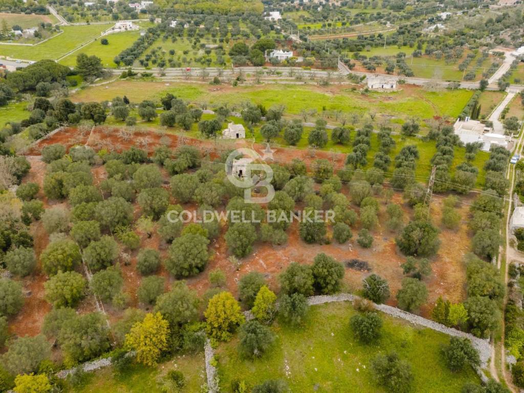 Rustico / casale a Ostuni in Contrada Badessa - Foto 3