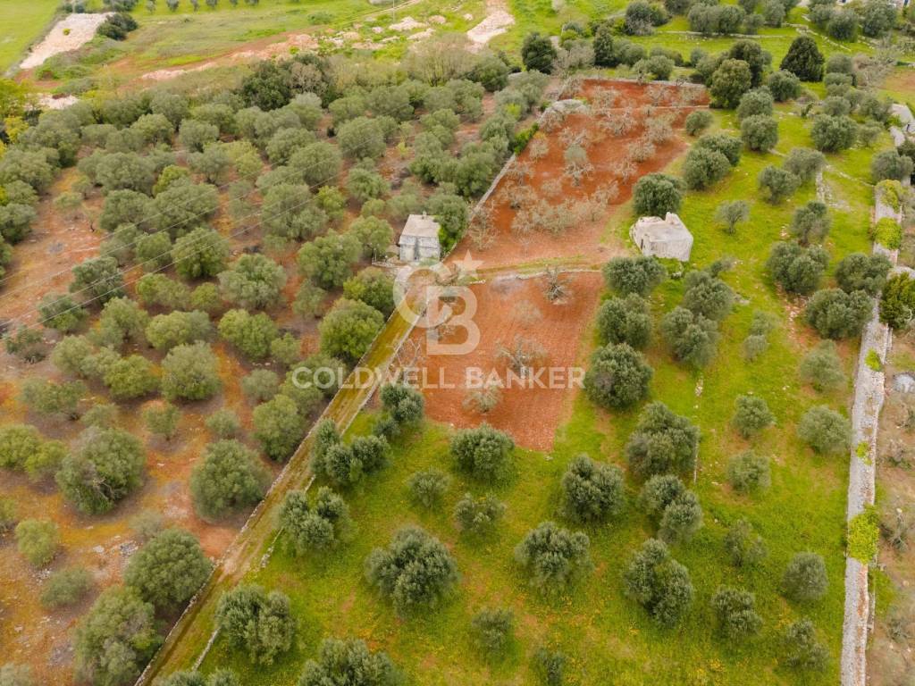 Rustico / casale a Ostuni in Contrada Badessa - Foto 5