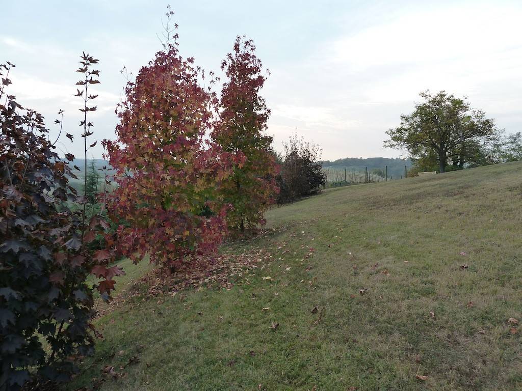 Rustico / casale a San martino alfieri in Strada Provinciale 41, 42 - Foto 3