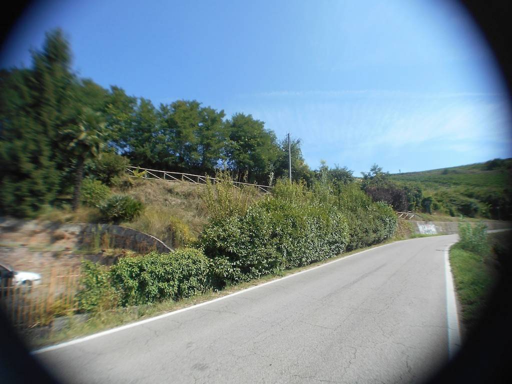 Rustico / casale a San martino alfieri in Strada Provinciale 41, 42 - Foto 4