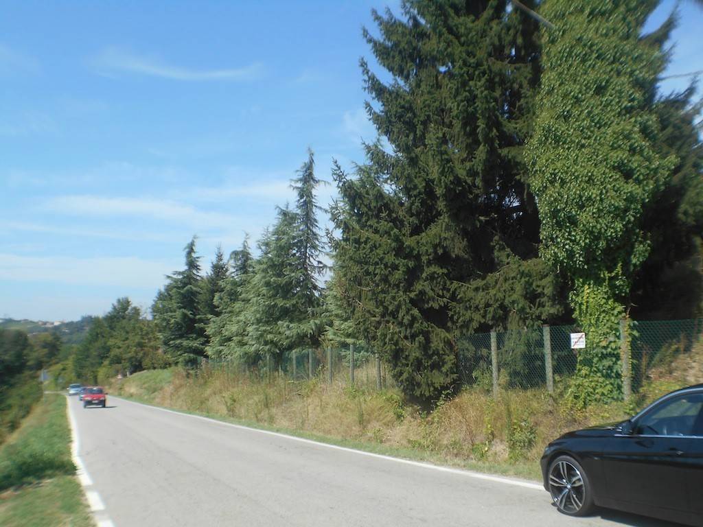 Rustico / casale a San martino alfieri in Strada Provinciale 41, 42 - Foto 5