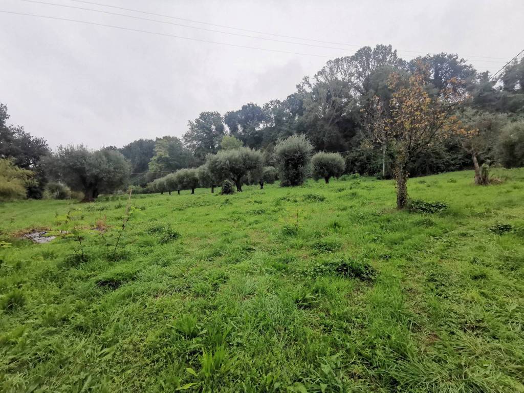 Casa indipendente a Civitanova marche - Foto 3