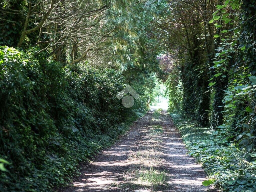 Villa a Carpi in Via dei cavi, 3 - Foto 3