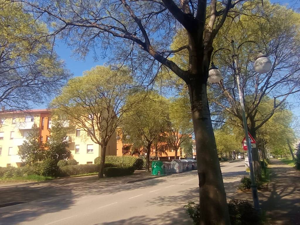 Appartamento a Castel san pietro terme - Foto 2