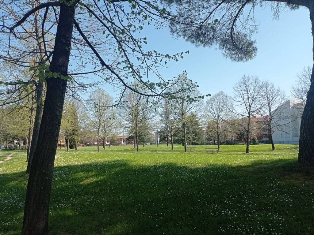 Appartamento a Castel san pietro terme - Foto 3