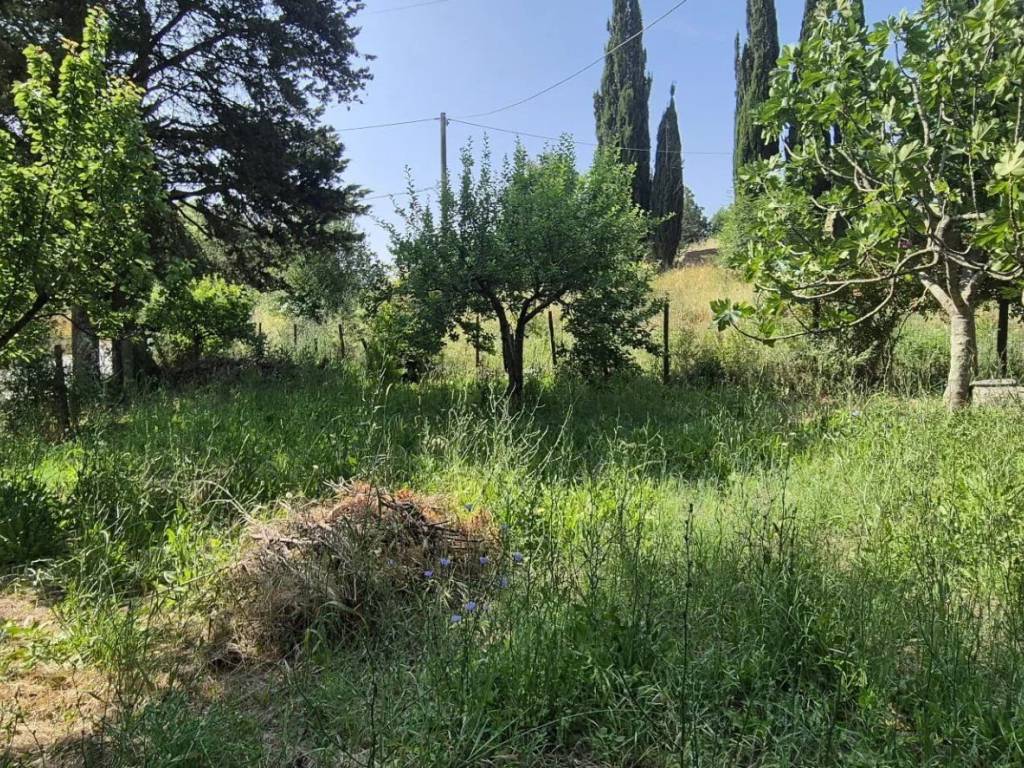 Appartamento a Suvereto - Foto 3