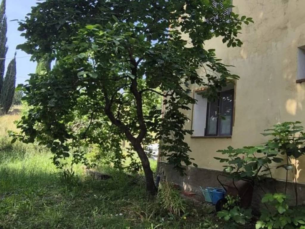 Appartamento a Suvereto - Foto 4
