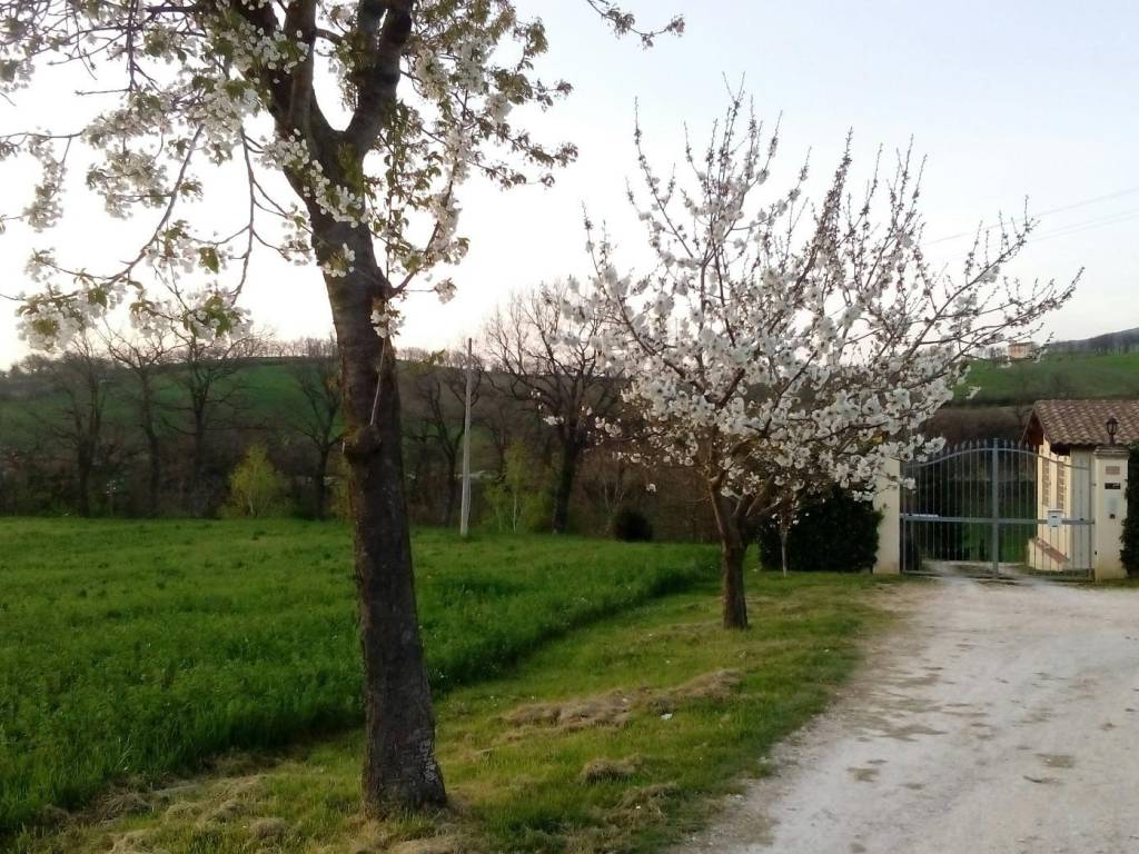 Casa indipendente a Matelica in Vocabolo Canaina, 552 - Foto 3
