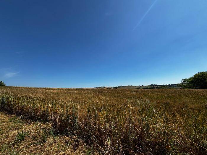 Terreno a Trecastelli - Foto 4