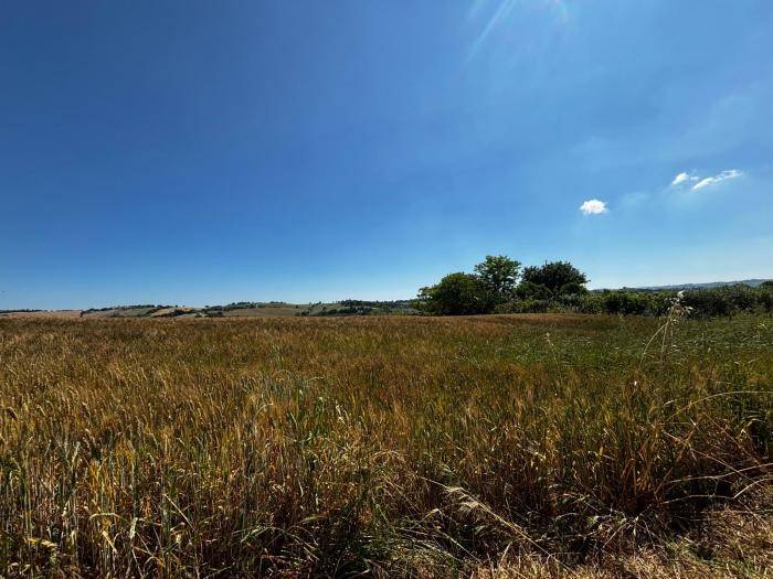 Terreno a Trecastelli - Foto 5