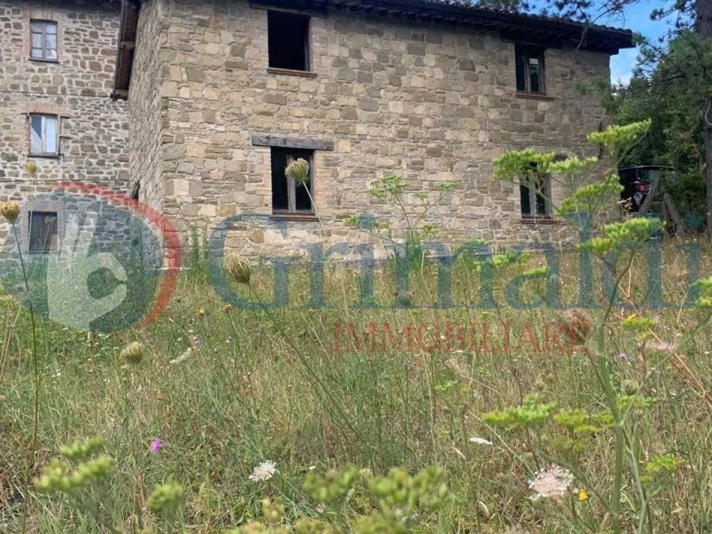 Rustico / casale a Assisi in San Presto, 1 - Foto 2