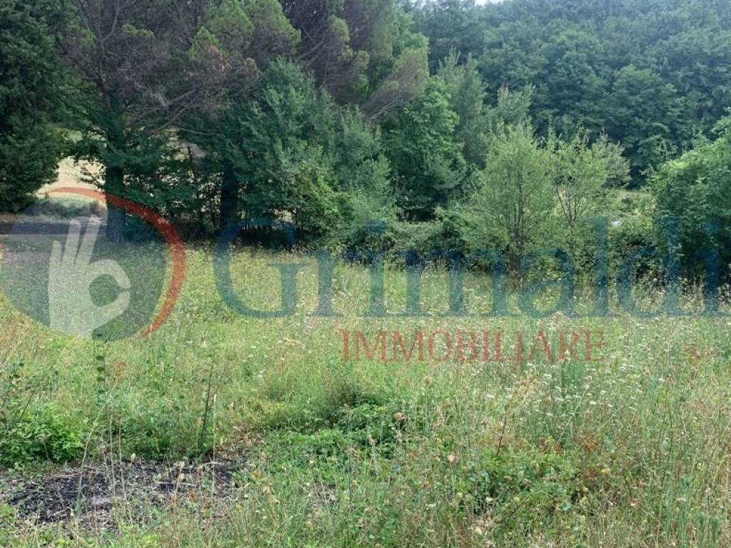 Rustico / casale a Assisi in San Presto, 1 - Foto 5
