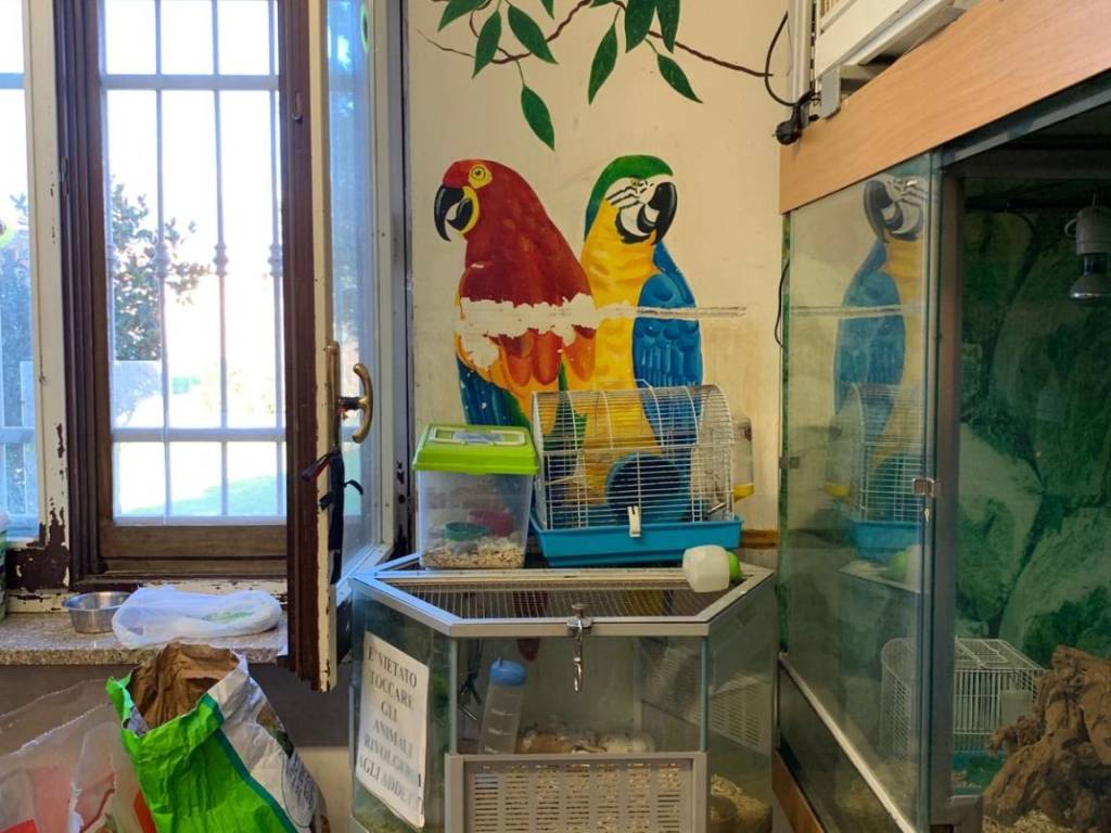 Attivit&agrave; / licenza a Ivrea in Corso Vercelli, 65 - Foto 5