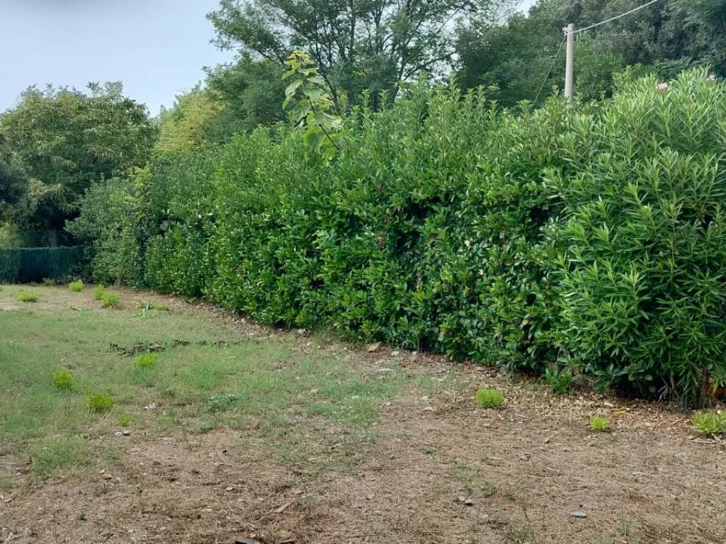 Villa a Rosignano marittimo - Foto 4