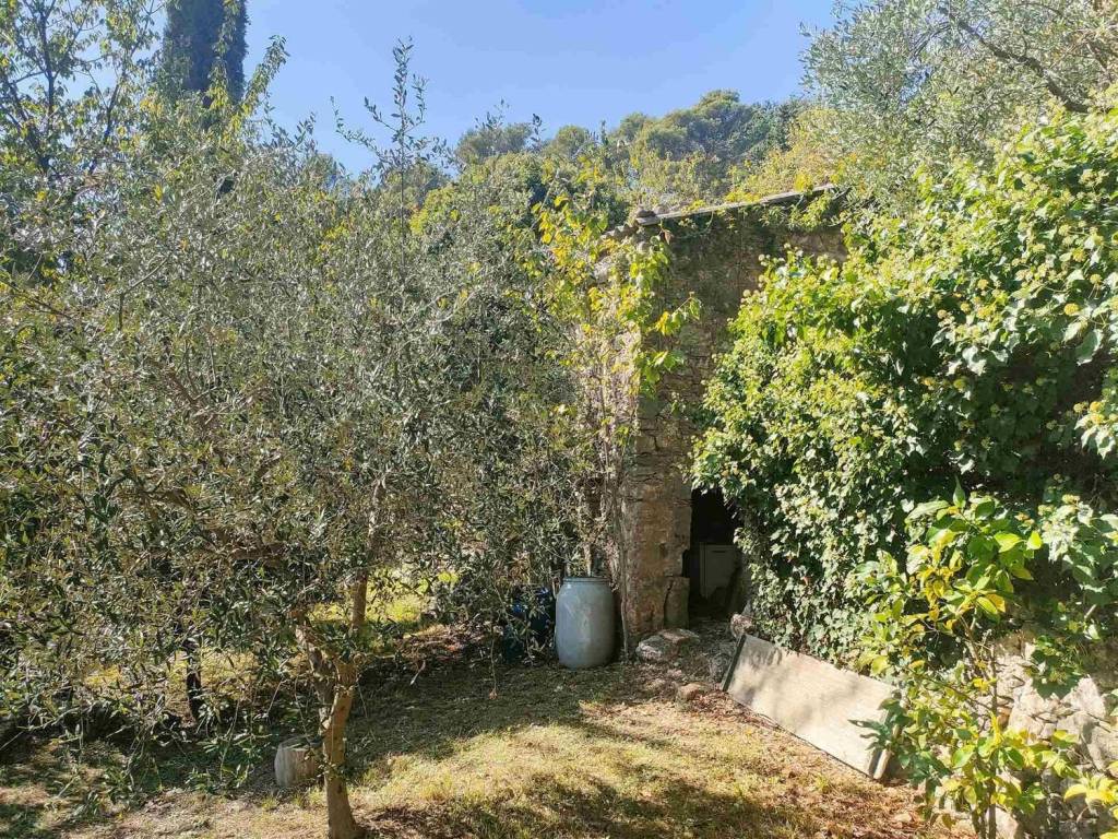 Rustico / casale a Lerici - Foto 3