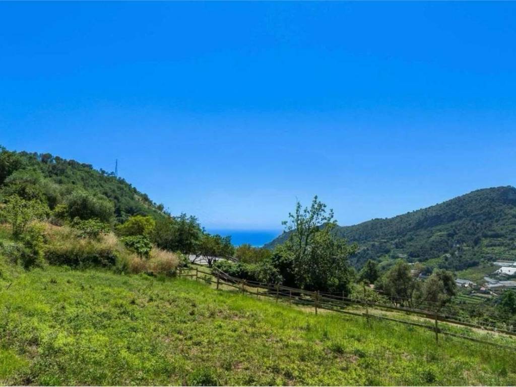 Terreno a Vallebona - Foto 2