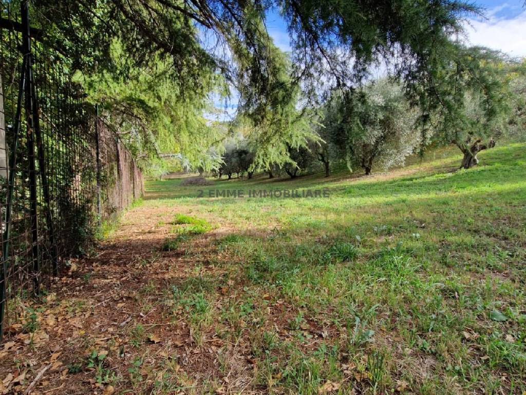 Terreno a Ascoli piceno - Foto 2