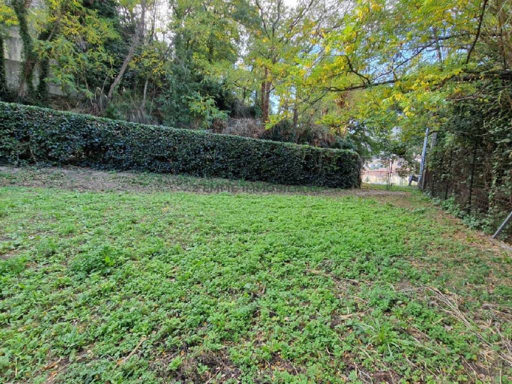 Terreno a Ascoli piceno - Foto 5
