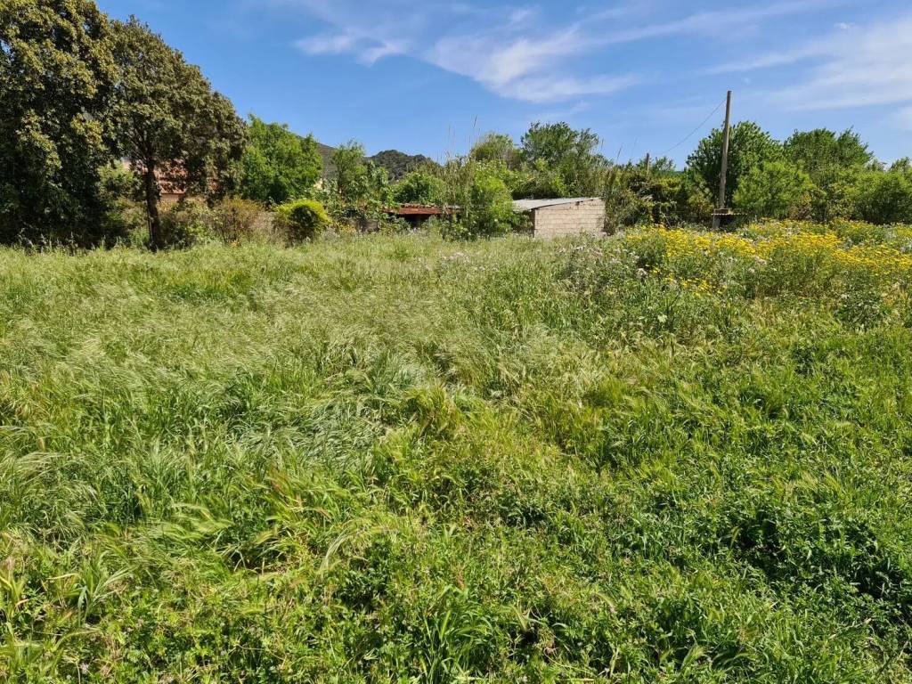 Terreno a San vito in Paoli - Foto 3