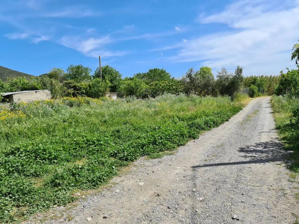 Terreno a San vito in Paoli - Foto 4