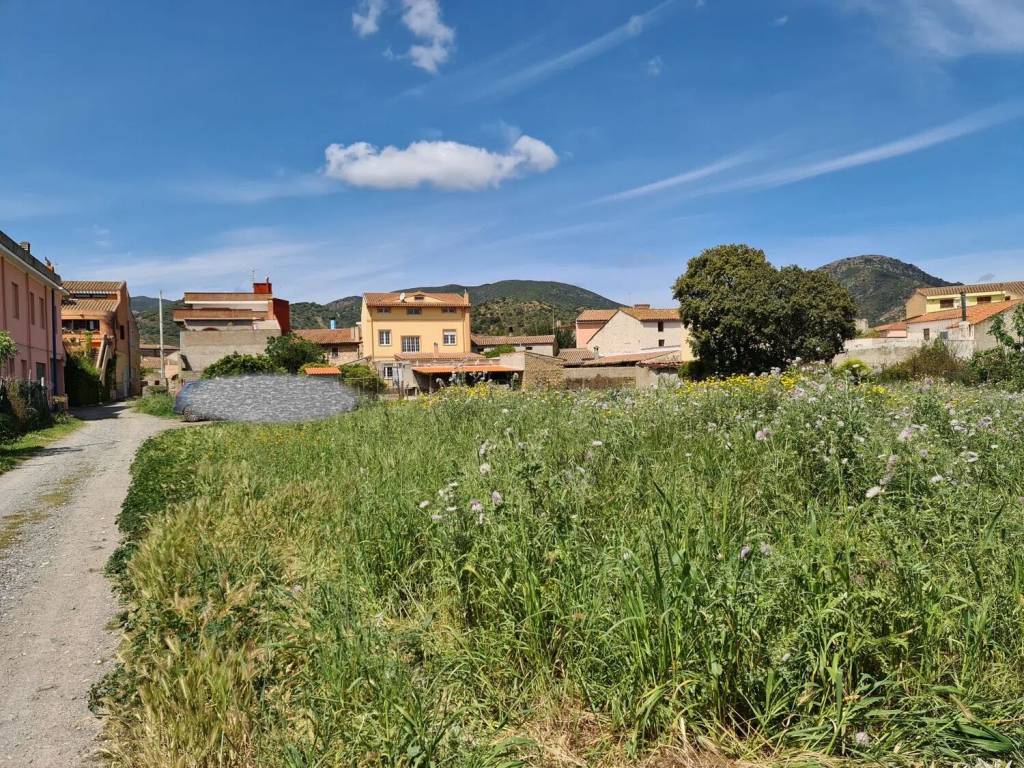 Terreno a San vito in Paoli - Foto 5