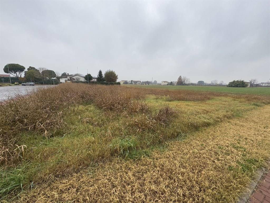 Terreno a Cotignola - Foto 2