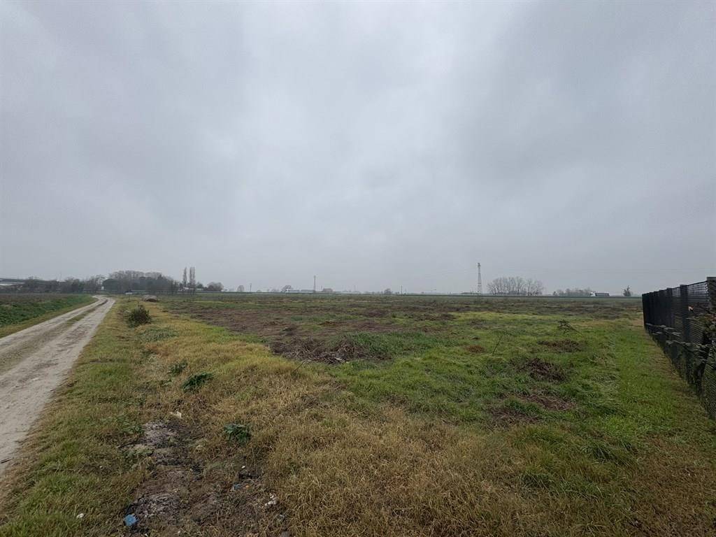 Terreno a Cotignola - Foto 3