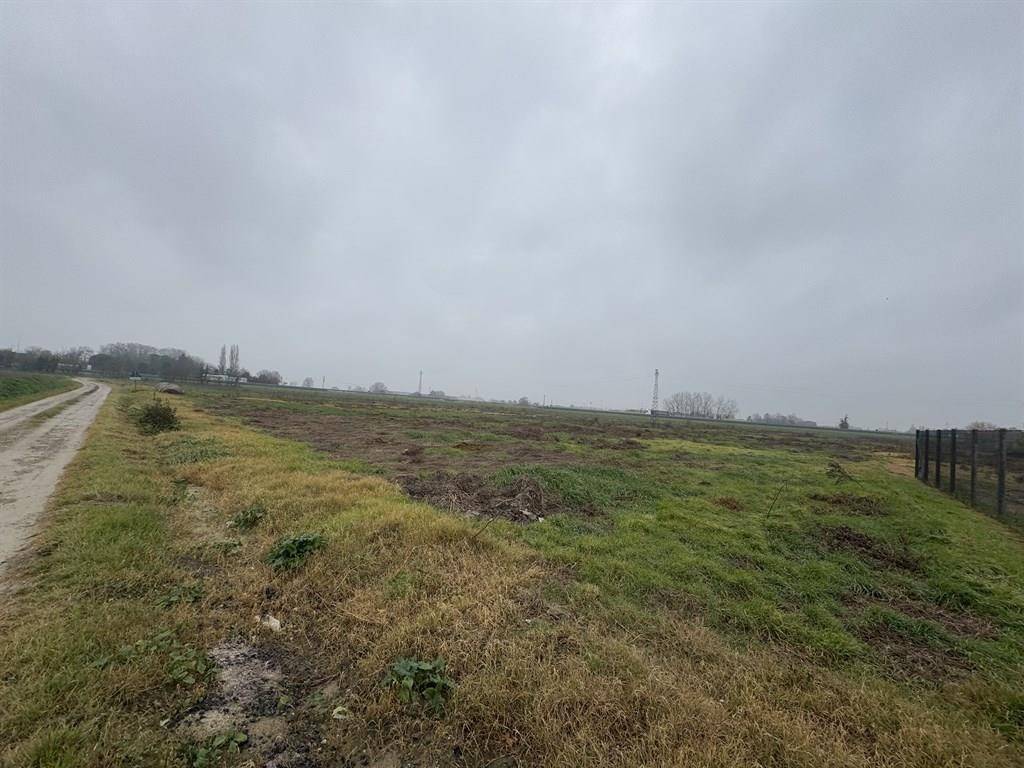 Terreno a Cotignola - Foto 4