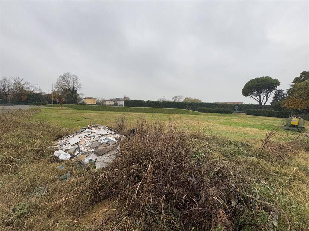Terreno a Cotignola - Foto 5