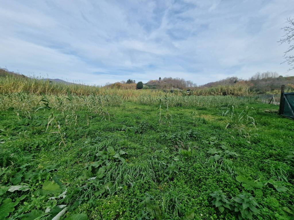 Terreno a Lariano in Via Giuseppe Verdi, 78 - Foto 4