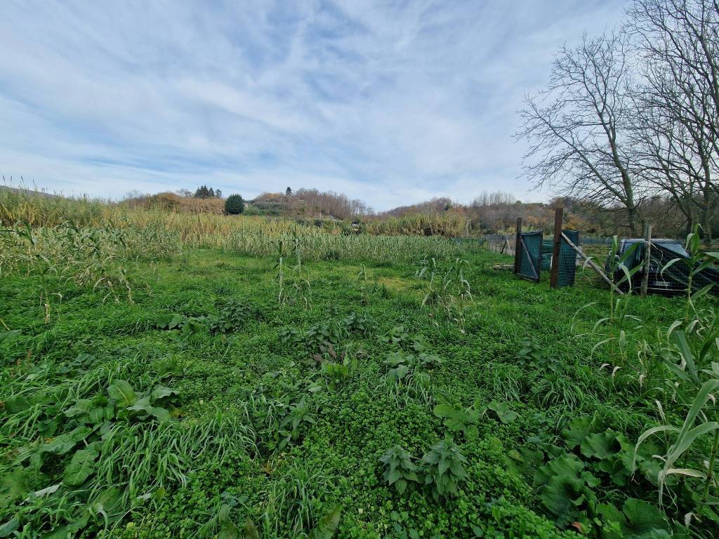 Terreno a Lariano in Via Giuseppe Verdi, 78 - Foto 5