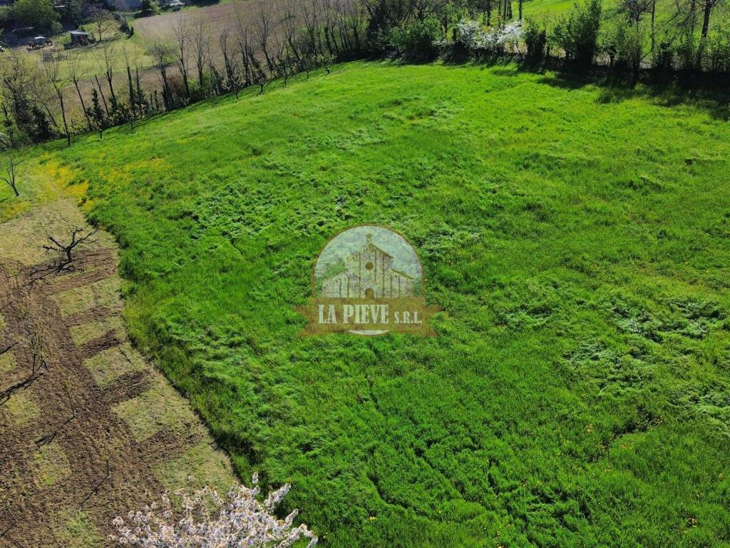 Rustico / casale a Monleale in Corso Roma - Foto 2