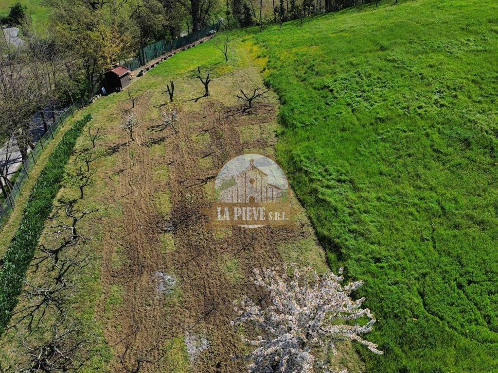 Rustico / casale a Monleale in Corso Roma - Foto 3