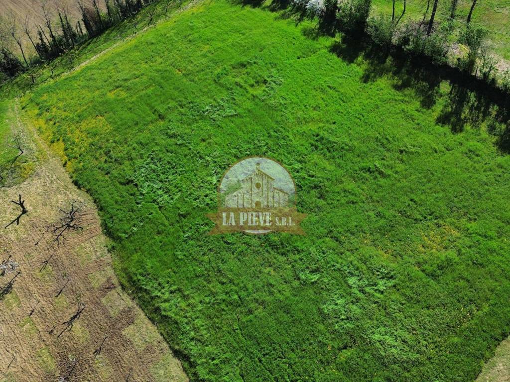 Rustico / casale a Monleale in Corso Roma - Foto 4