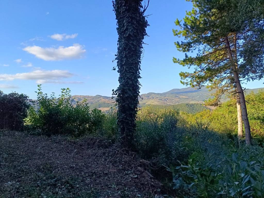 Appartamento a San casciano dei bagni - Foto 5