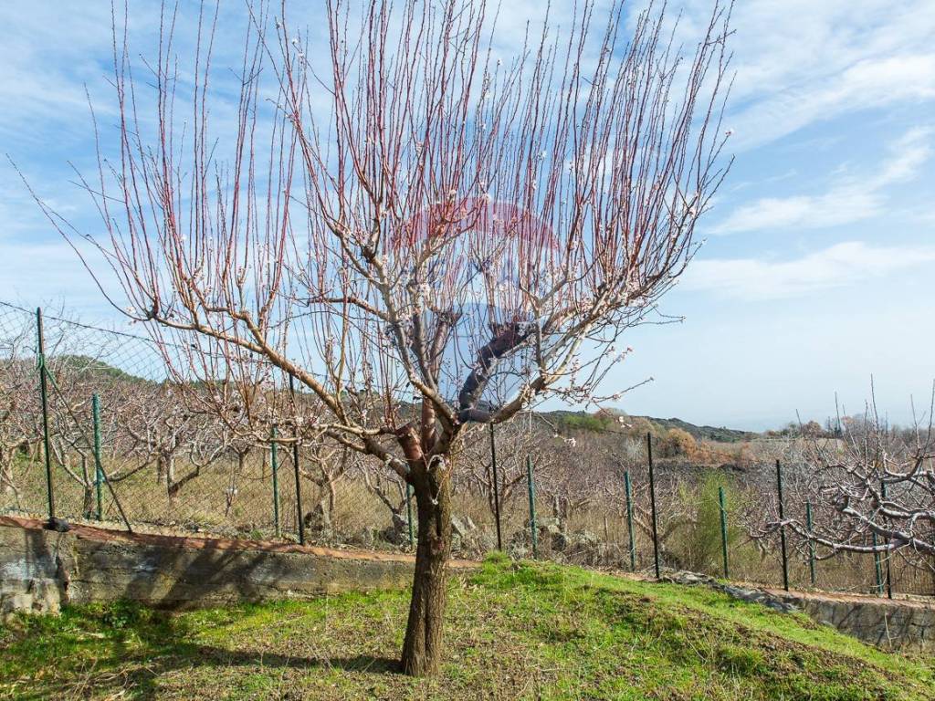 Rustico / casale a Ragalna in Contrada Parmentelli / Strada Milia - Foto 3