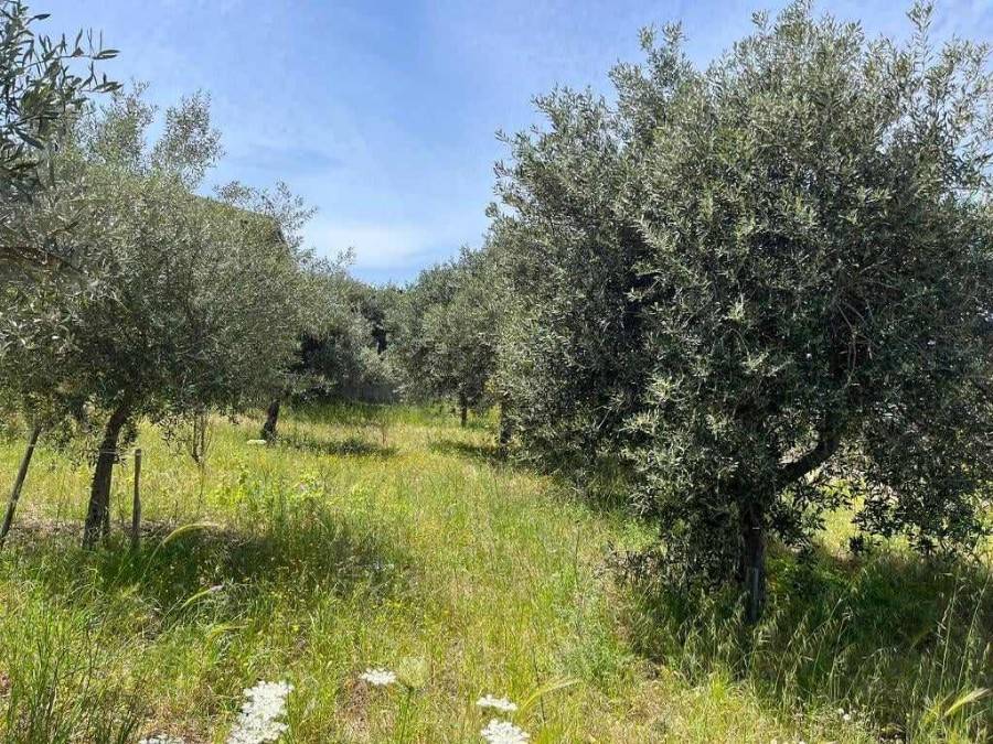 Terreno a Reggio calabria - Foto 2