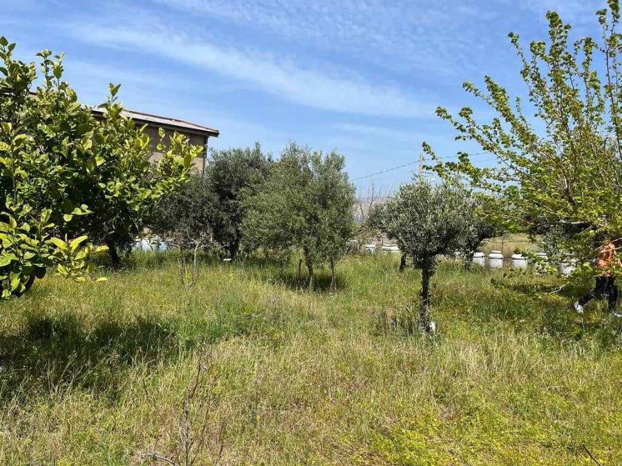 Terreno a Reggio calabria - Foto 3