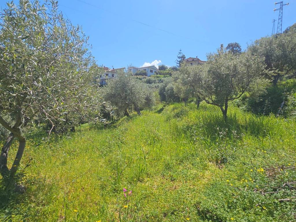 Terreno a Capo d'orlando in Contrada San Martino - Foto 3