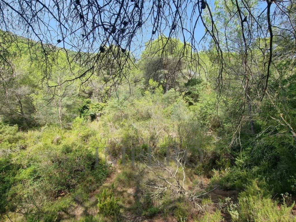 Rustico / casale a Ventimiglia in Via Case Gina, 1 - Foto 4