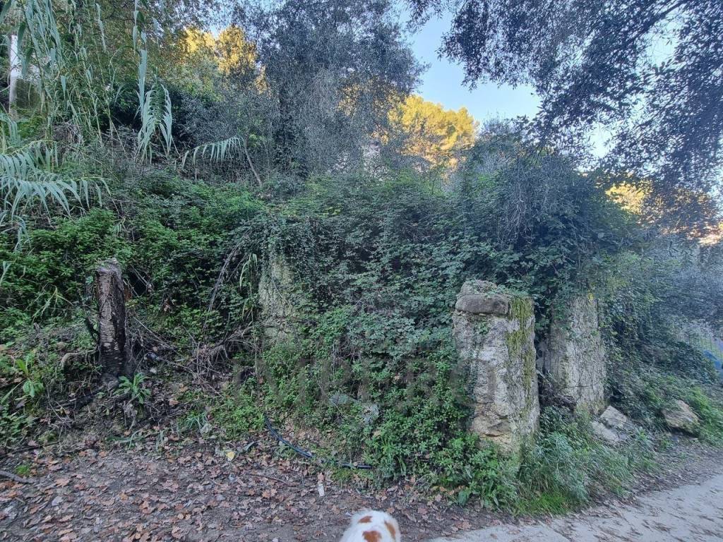 Terreno a Camporosso in Strada degli Olandesi - Foto 2