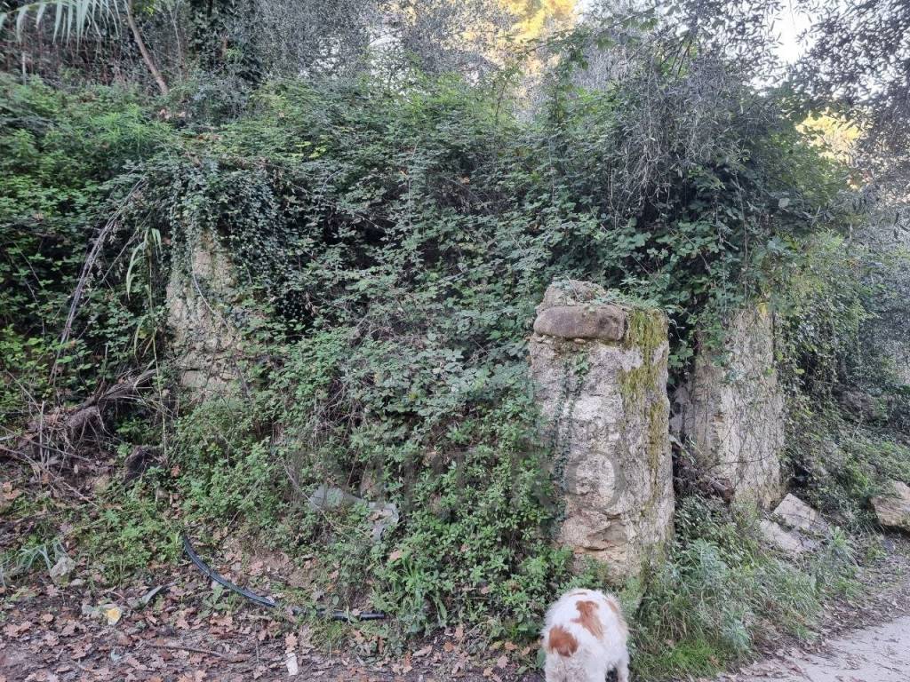 Terreno a Camporosso in Strada degli Olandesi - Foto 3
