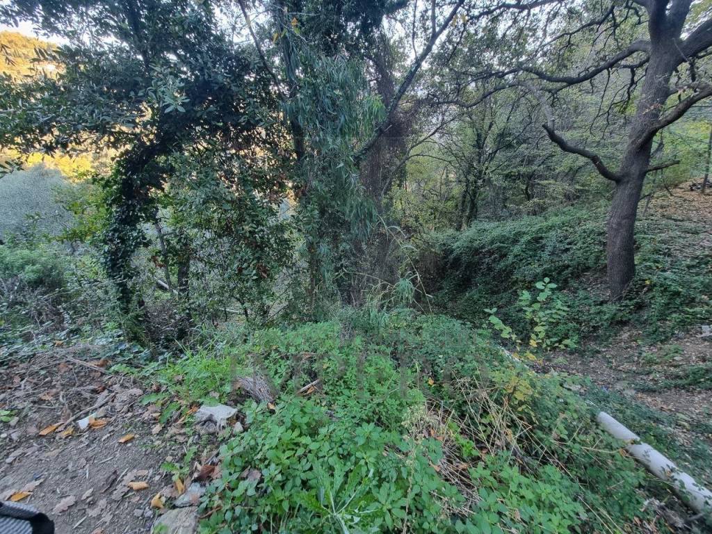 Terreno a Camporosso in Strada degli Olandesi - Foto 4