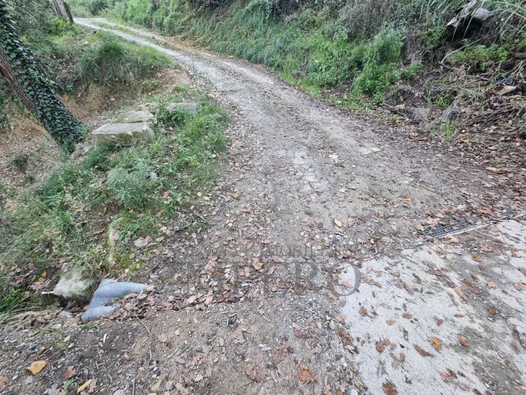 Terreno a Camporosso in Strada degli Olandesi - Foto 5