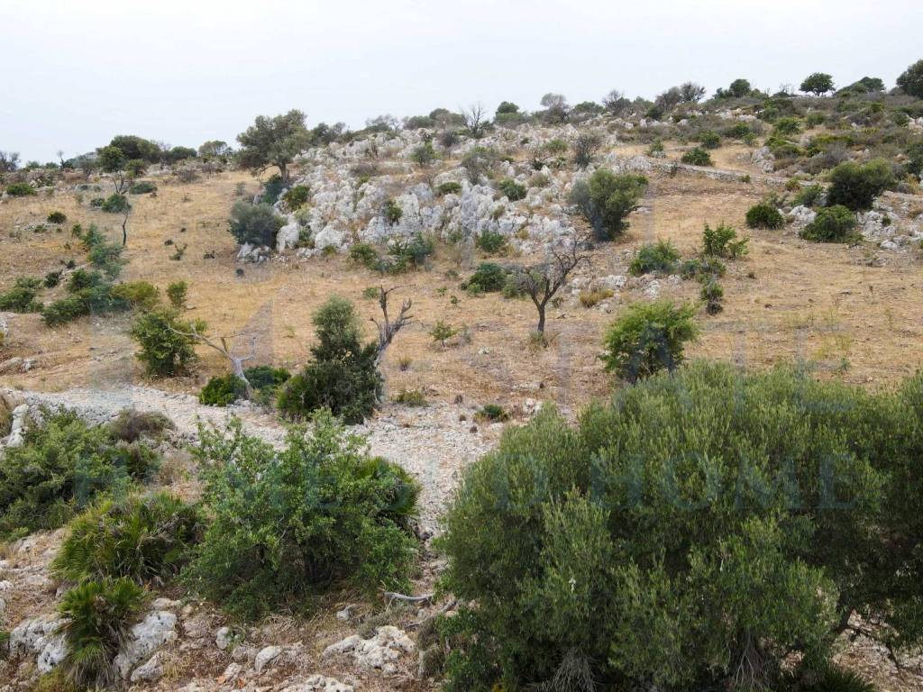 Terreno a Noto in Via Tommaso Fazello, 228 - Foto 3
