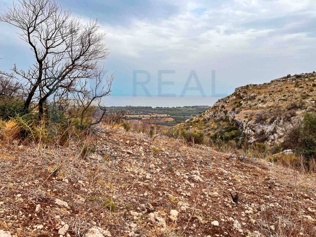 Terreno a Noto in Via Tommaso Fazello, 228 - Foto 4