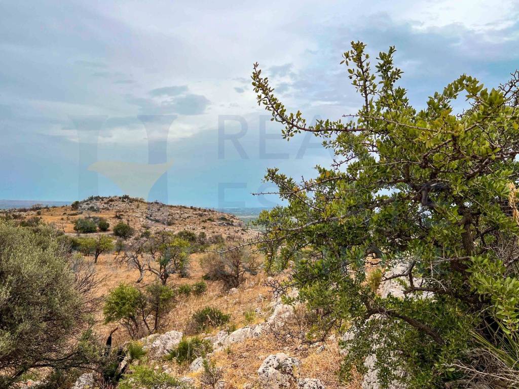 Terreno a Noto in Via Tommaso Fazello, 228 - Foto 5
